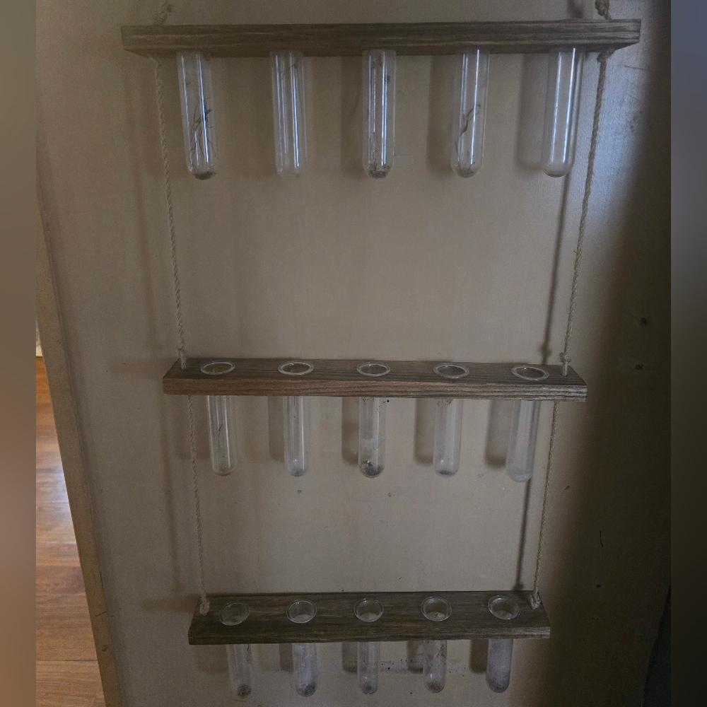 Hanging Wooden Clear Glass Test Tube Planter